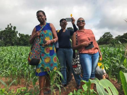 Team members walking through a maize field during a farm visit