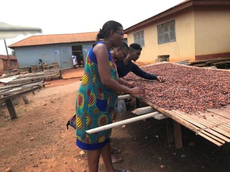 Community members drying cocoa beans on raised racks
